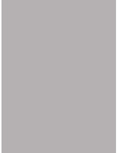 Compact 871 Gris