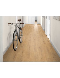 Chêne Predaia miel 2