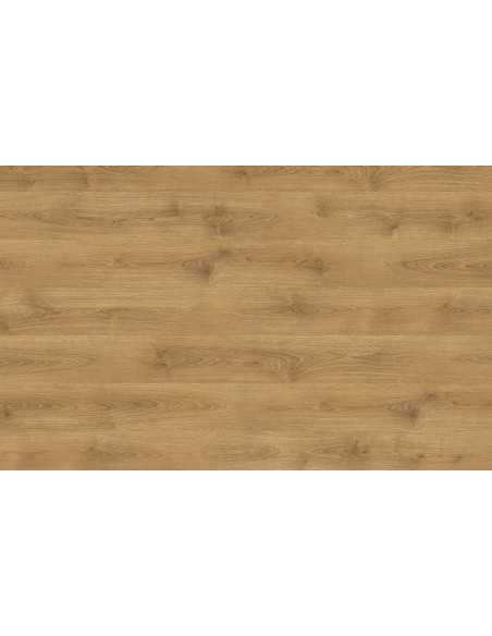 Chêne du Nord naturel