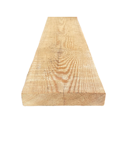 Avivé mélèze de Sibérie 2