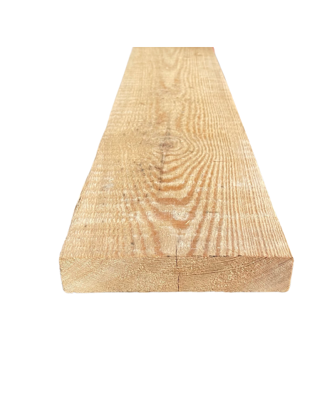 Avivé mélèze de Sibérie